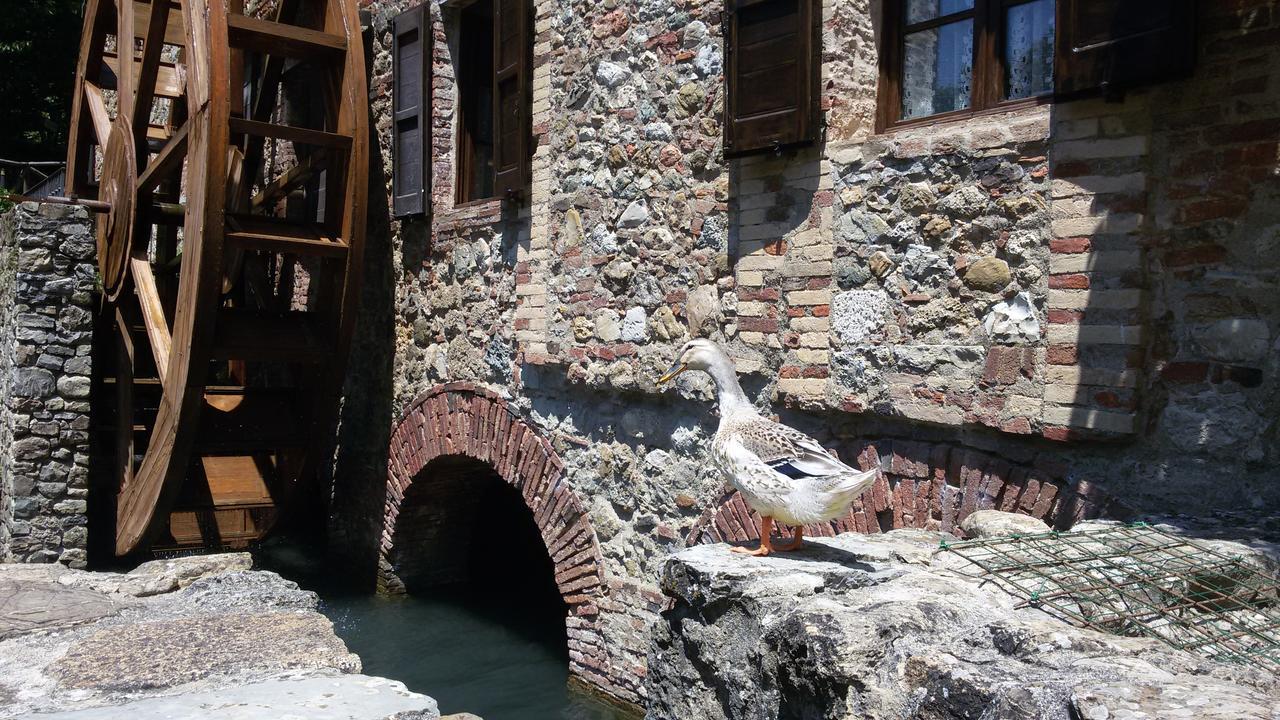 Agriturismo Il Mulino Delle Pile Chiusdino Ngoại thất bức ảnh