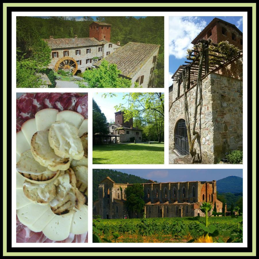 Agriturismo Il Mulino Delle Pile Chiusdino Ngoại thất bức ảnh