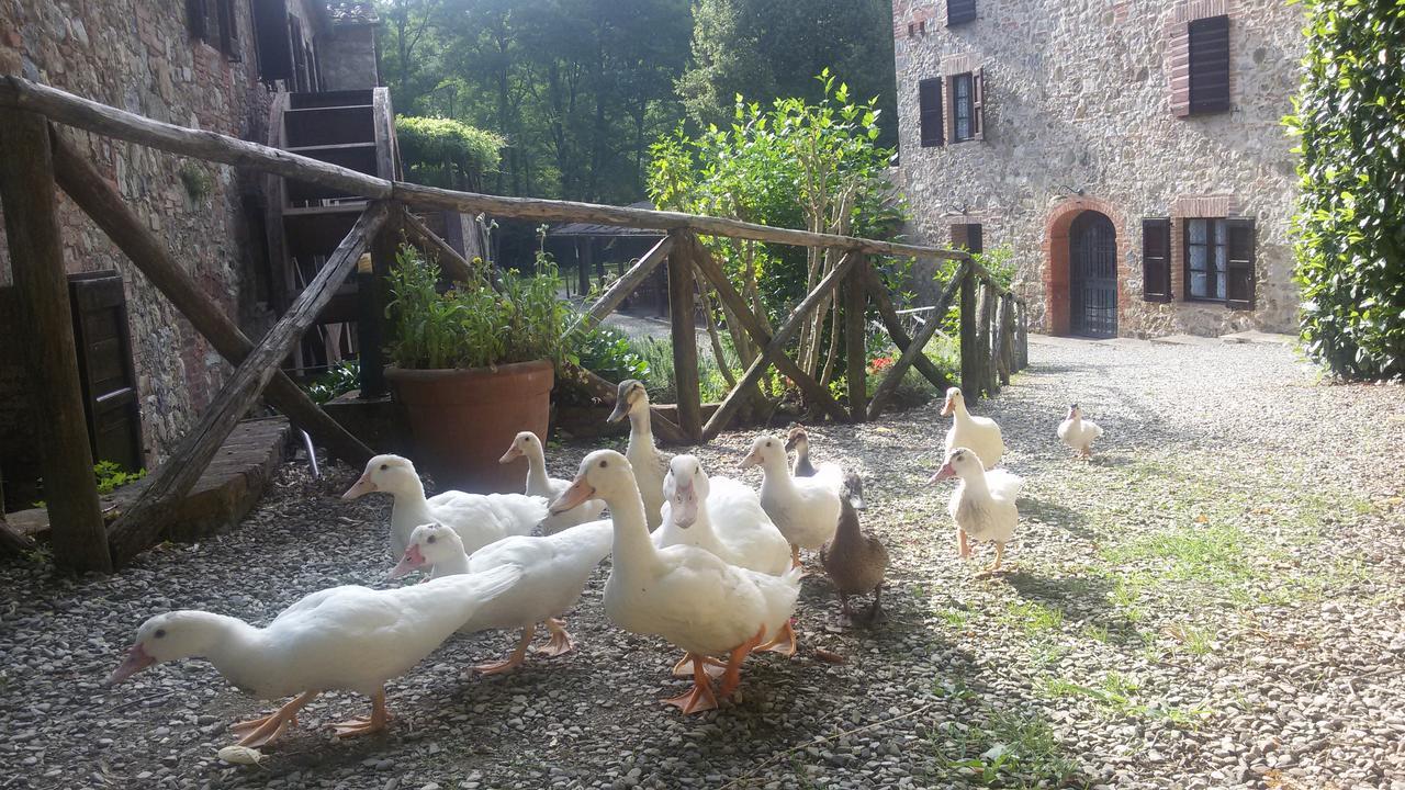 Agriturismo Il Mulino Delle Pile Chiusdino Ngoại thất bức ảnh