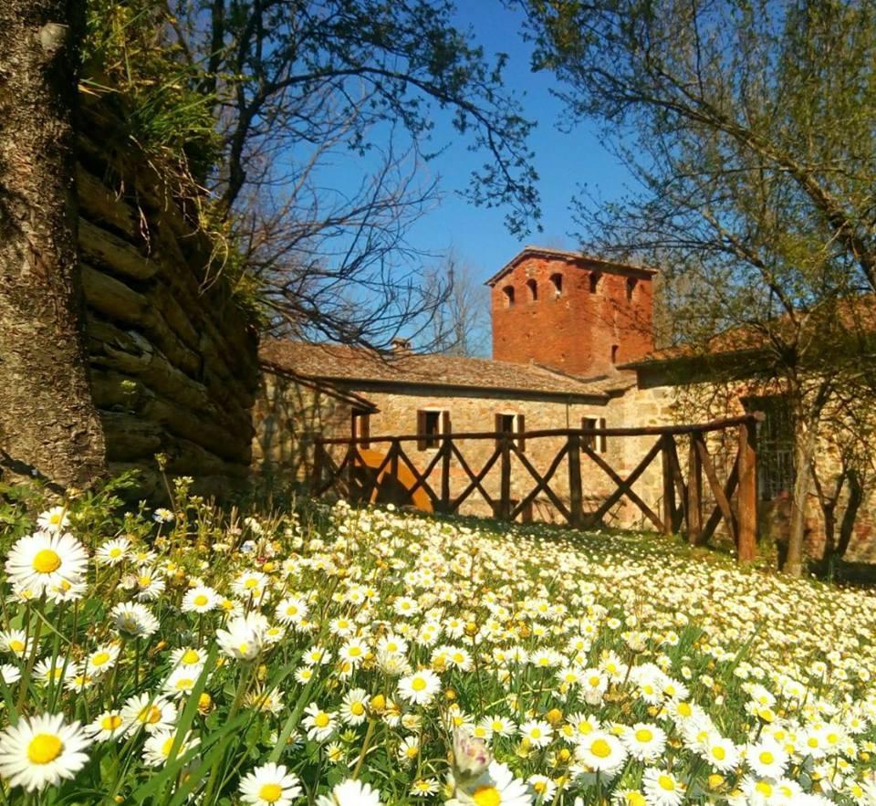 Agriturismo Il Mulino Delle Pile Chiusdino Ngoại thất bức ảnh