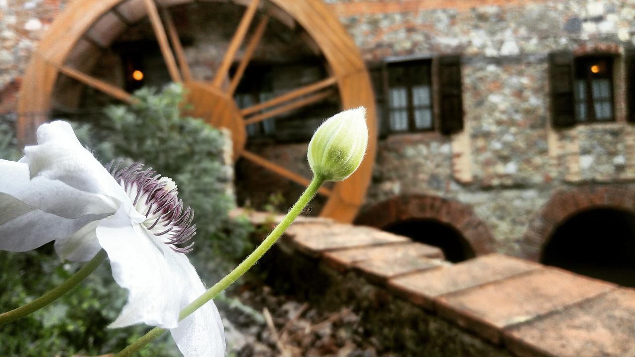 Agriturismo Il Mulino Delle Pile Chiusdino Ngoại thất bức ảnh